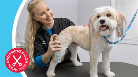 petsmart grooming salon hours|petsmart grooming salon near me.